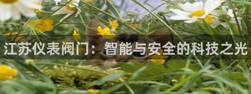 顺盈娱乐注册官网