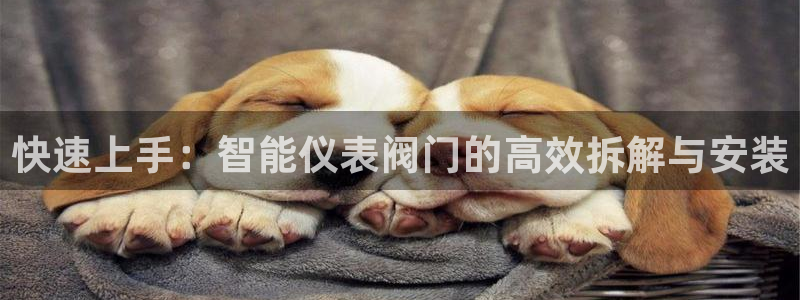 顺盈娱乐彩票官网下载