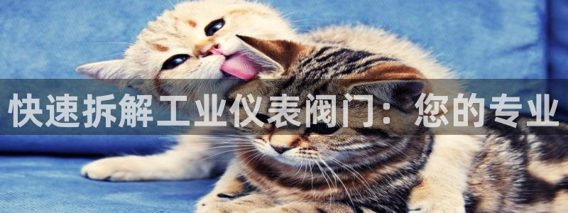 顺盈娱乐痛333OO