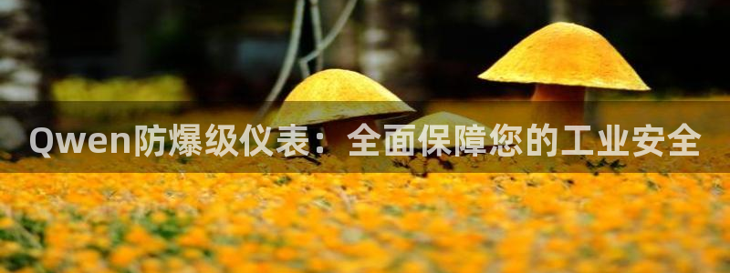 顺盈娱乐平台登录不了