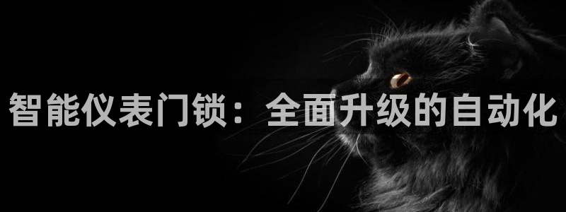 顺盈娱乐招商后原判官333OO