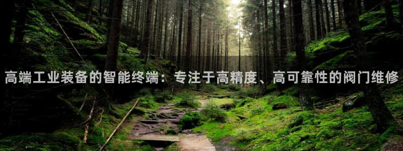 顺盈娱乐下载安装最新版