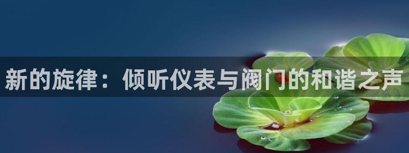 顺盈娱乐主管待判官333OO