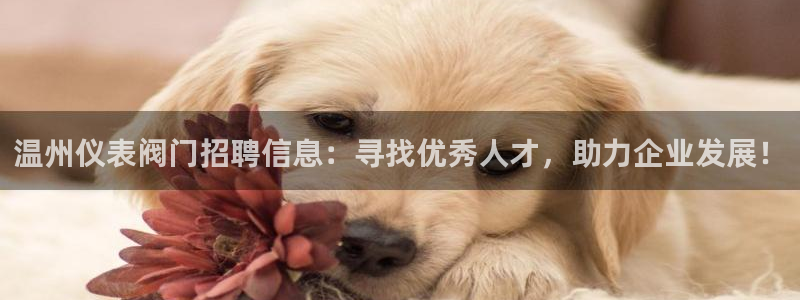顺盈娱乐主管经判官333OO
