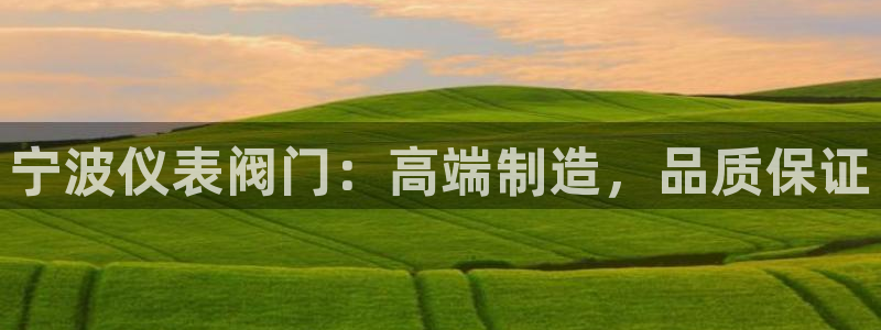 顺盈娱乐队究7276O