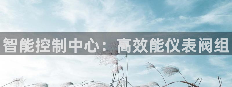 盈顺娱乐休闲室地址