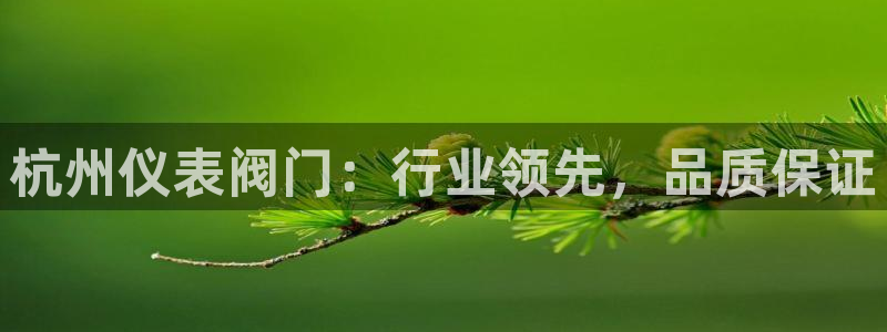 顺盈娱乐注册口究333OO