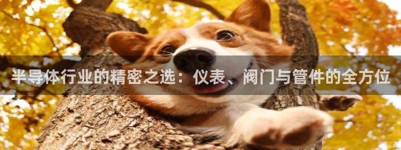 清远顺盈娱乐集团电话