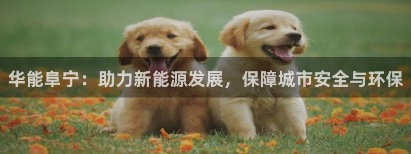 顺盈娱乐招商前原判官333OO
