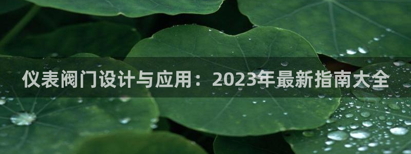 顺盈娱乐28是什么