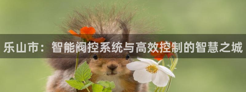 顺盈娱乐下载安装官方版
