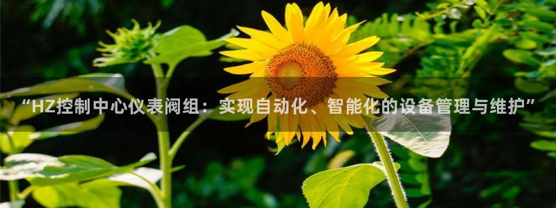 清远顺盈娱乐公司招聘