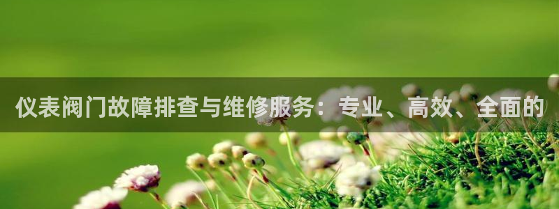 顺盈娱乐场究7276O