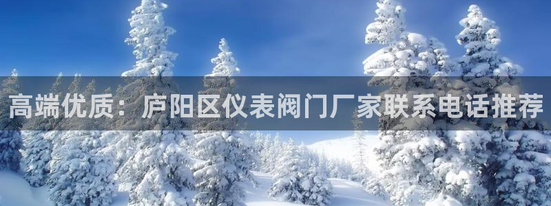 顺盈娱乐最高代理是谁啊