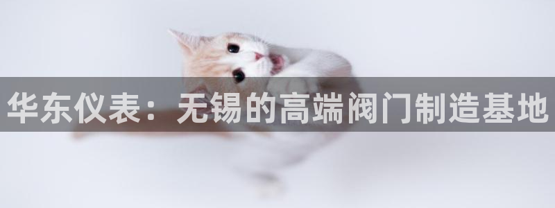 顺盈娱乐下载app