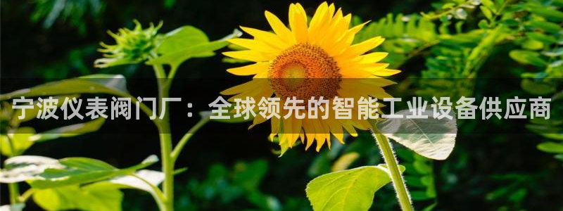 顺盈娱乐下载