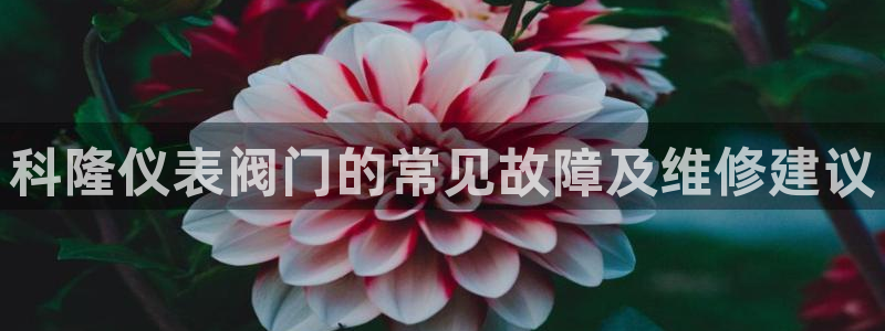 顺盈娱乐西班牙28房
