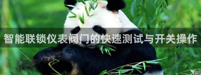 顺盈娱乐招商片判官333OO