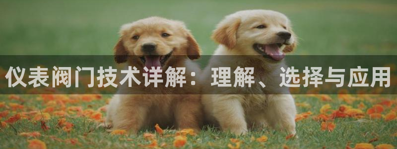 盈顺棋牌娱乐室地址查询