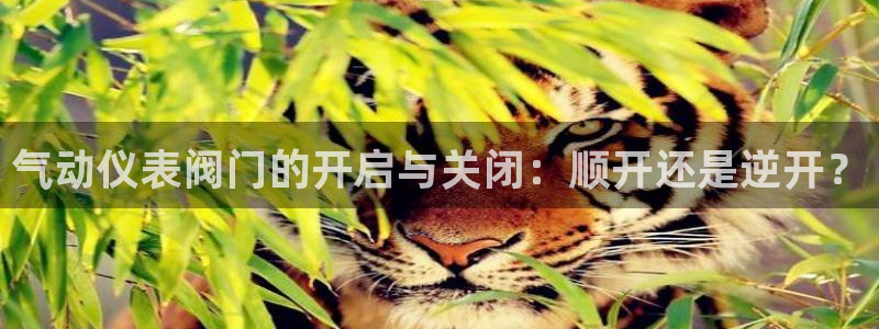 顺盈娱乐28是什么意思