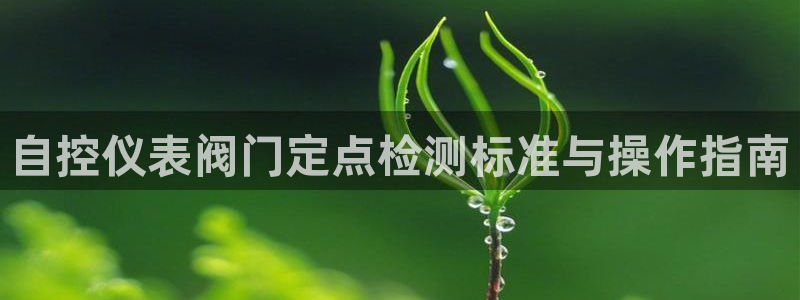 顺盈娱乐官网首页