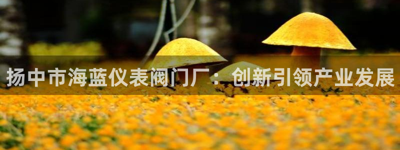 顺盈娱乐登录地址查询