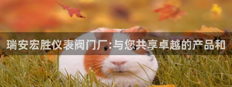 顺盈娱乐登录网址