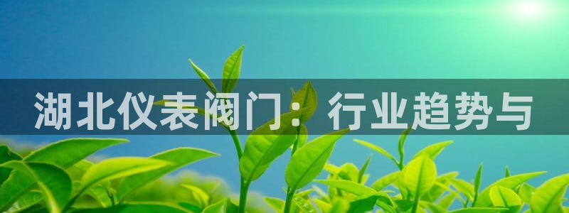 盈顺娱乐休闲室地址