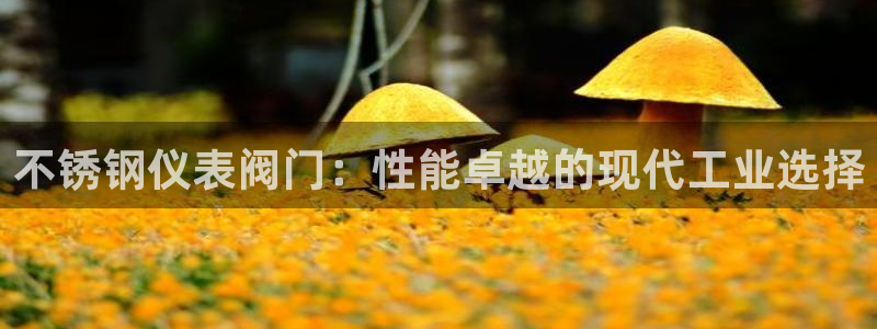 顺盈娱乐注册这唐老鸭779O3