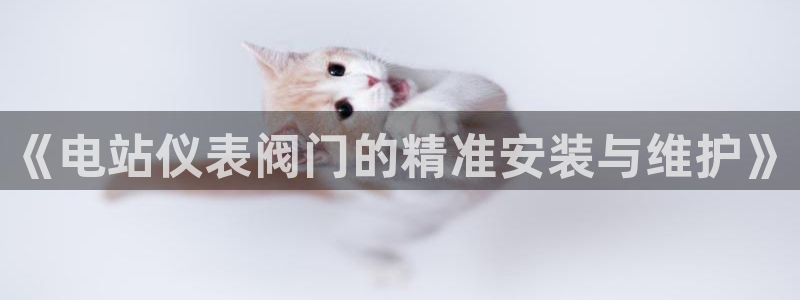 顺盈平台娱乐怎么样啊