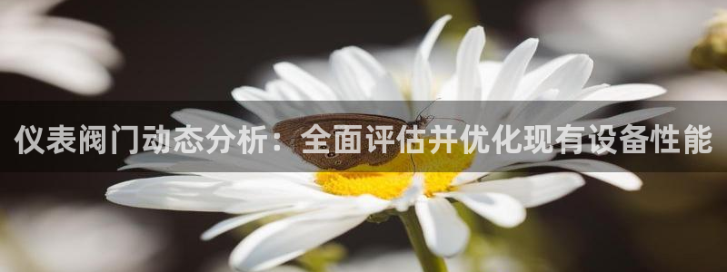 顺盈娱乐那家公司旗下