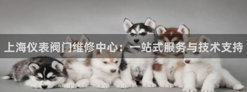 顺盈广场娱乐会所地址