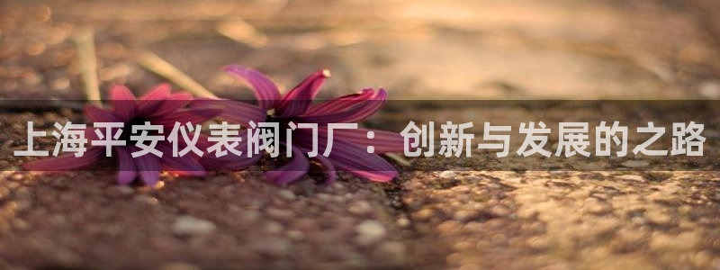 顺盈娱乐是什么意思