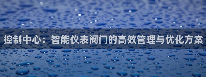 顺盈娱乐招商助判官333OO