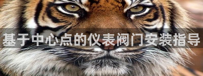 顺盈2娱乐滴qv382223