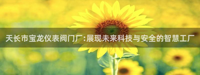 顺盈娱乐下载安装官方