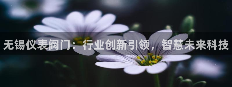 顺盈娱乐注册平台