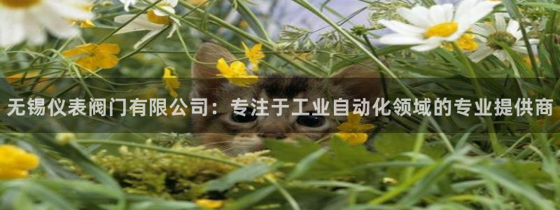 顺盈娱乐在线开户官网