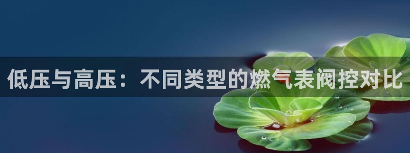 清远顺盈娱乐酒店推荐