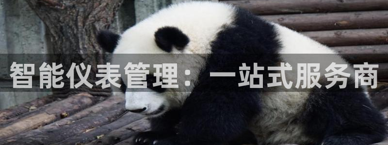 顺盈娱乐最高代理