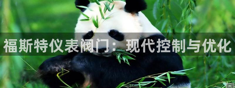 顺盈娱乐开户注册