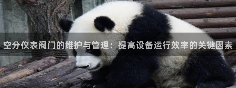 顺盈娱乐找382223