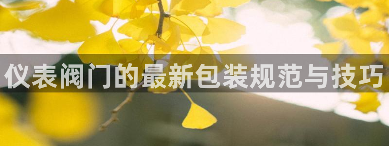 顺盈娱乐 找86555