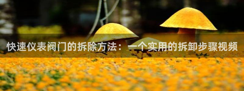 顺盈娱乐 炤企鹅779O3