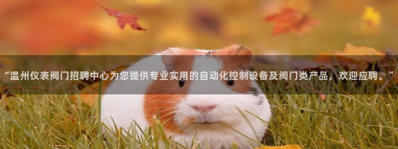 顺盈娱乐下载安装官方网