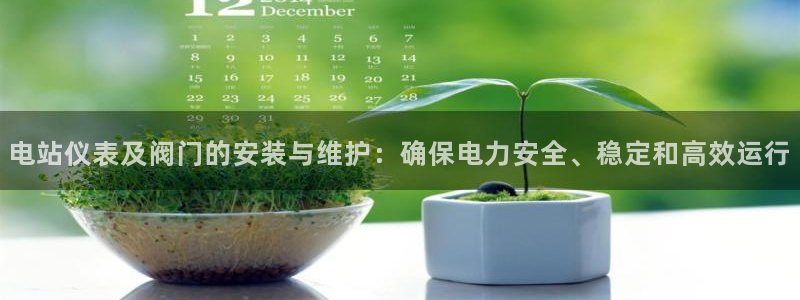 顺盈娱乐下载app