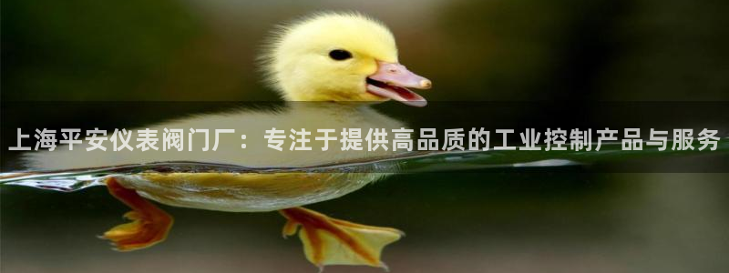 清远顺盈娱乐酒店推荐