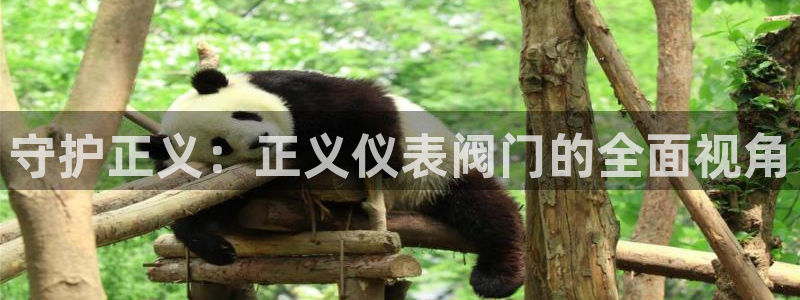 顺盈娱乐棋牌官网地址