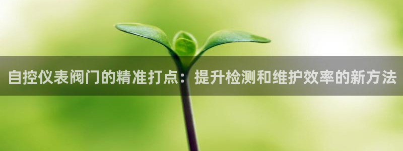 顺盈娱乐28是什么?