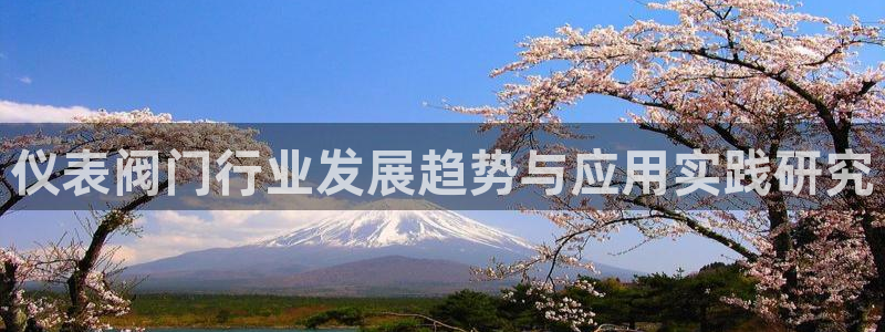 顺盈2娱乐注册问一问